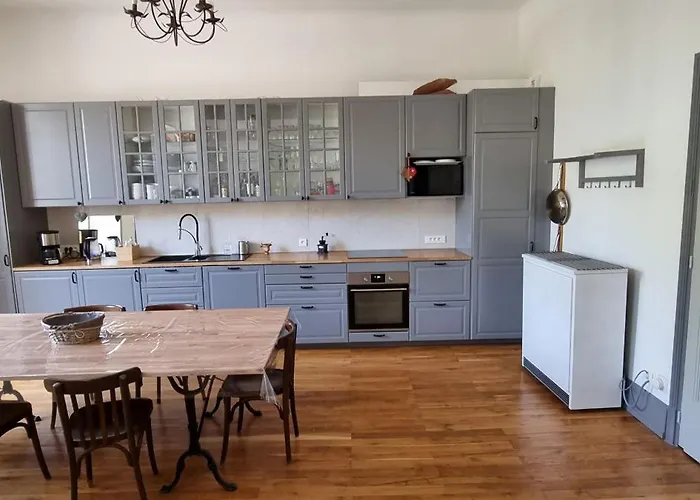 公寓 L'atelier Du Centre D'ax-les-thermes *