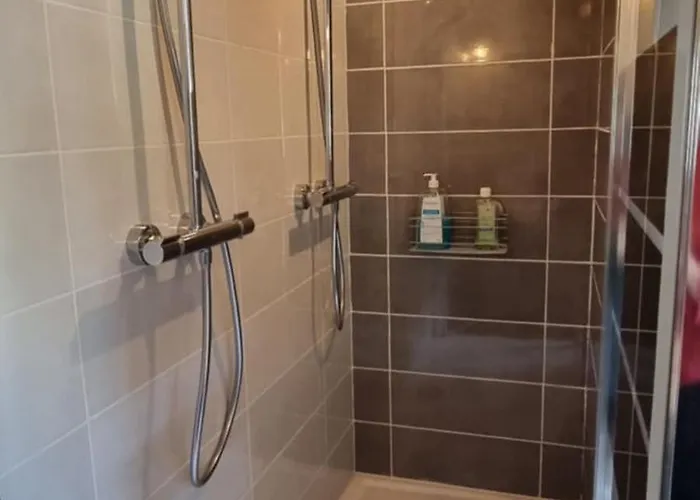 公寓 L'atelier Du Centre D'ax-les-thermes