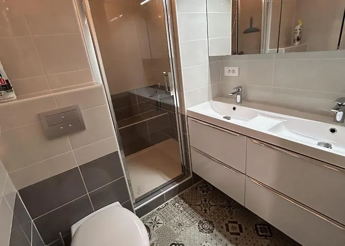 公寓 L'atelier Du Centre D'ax-les-thermes *